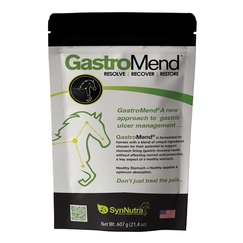 SynNutra Equine GastroMend Powder