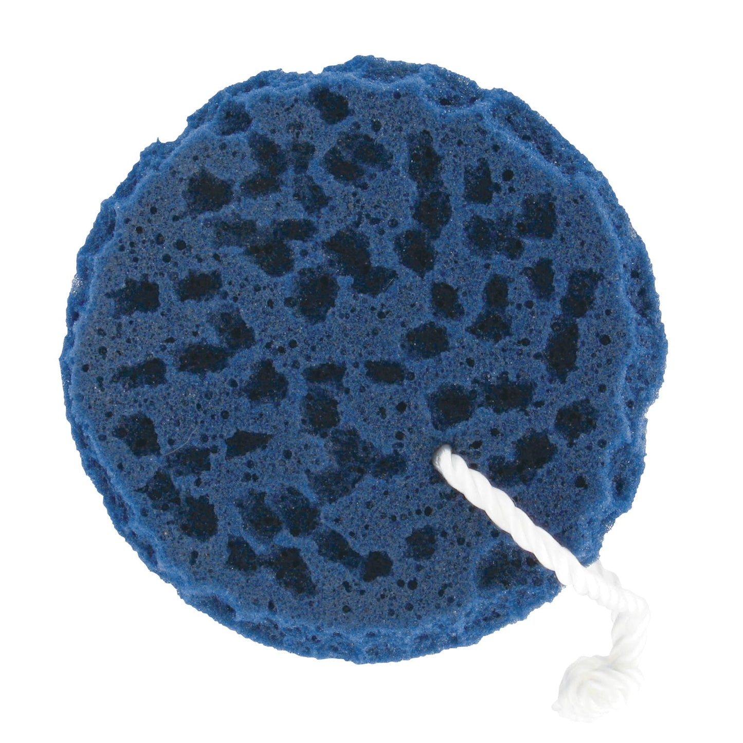Professional’s Choice Sponge on a Rope