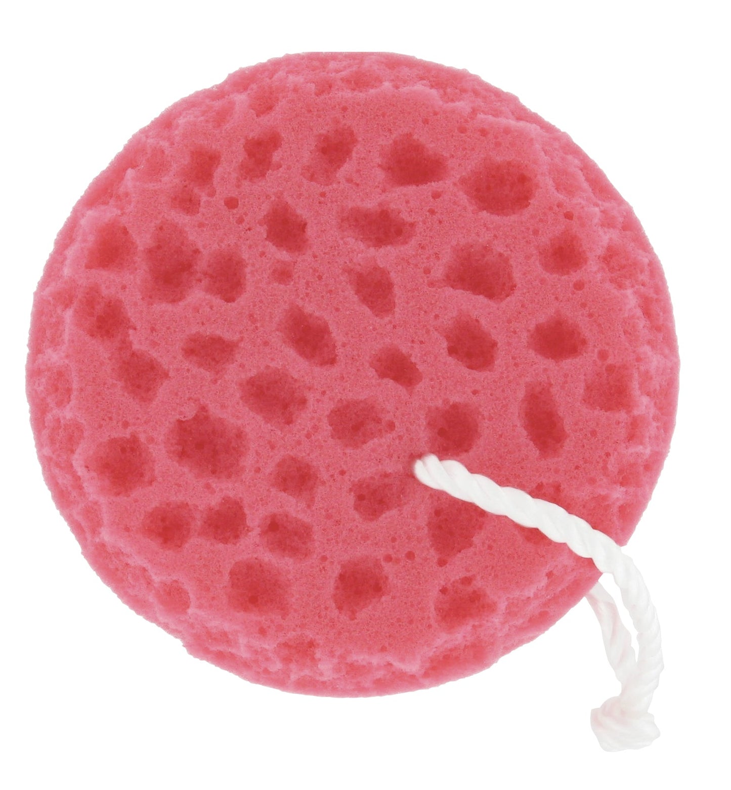 Professional’s Choice Sponge on a Rope