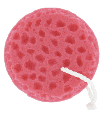 Professional’s Choice Sponge on a Rope